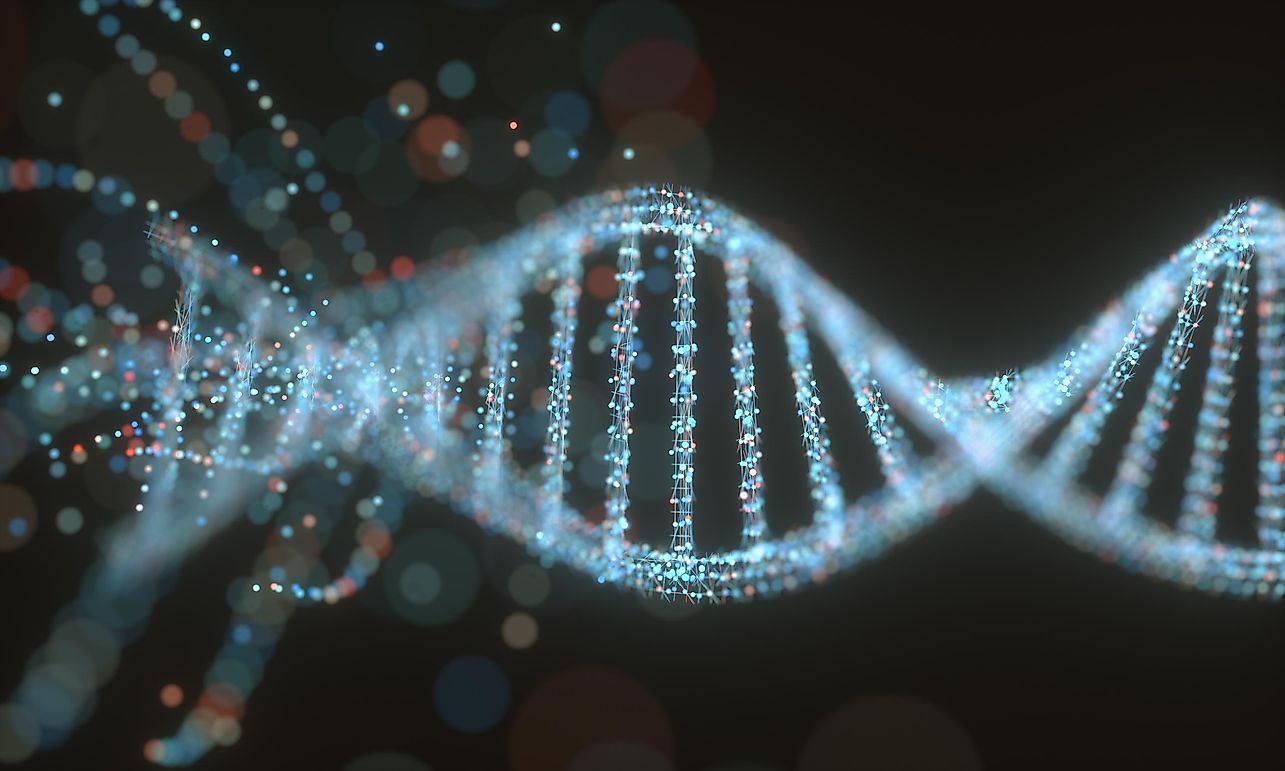 What Is A Gene Drive?