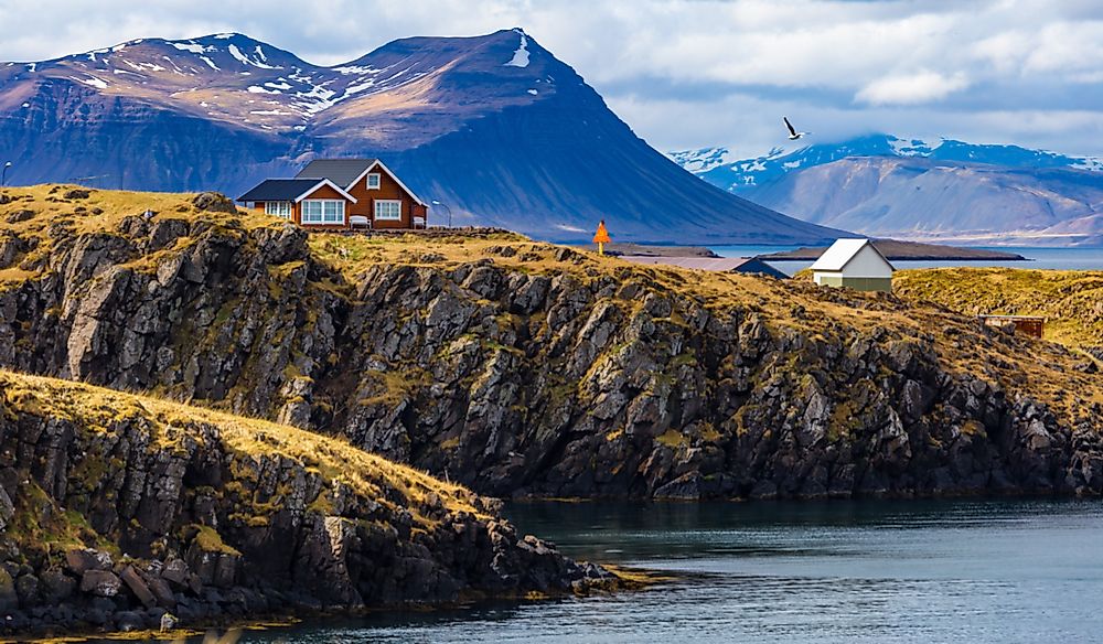 Does Iceland Have Any Mosquitoes?
