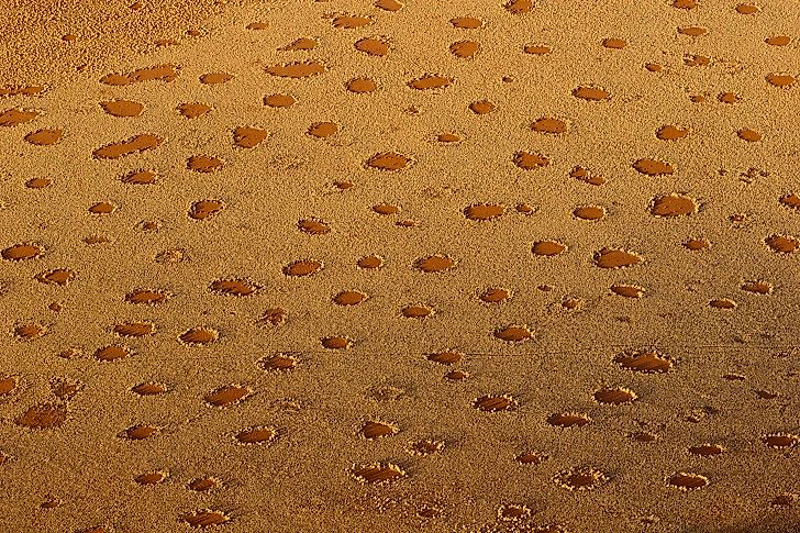 What Are Fairy Circles, And Why Do They Occur?