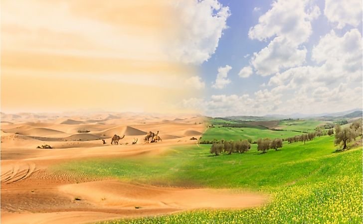 Climate Change Induced Desertification: Is It Irreversible?