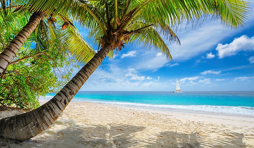 What Type Of Climate Does The Caribbean Have?