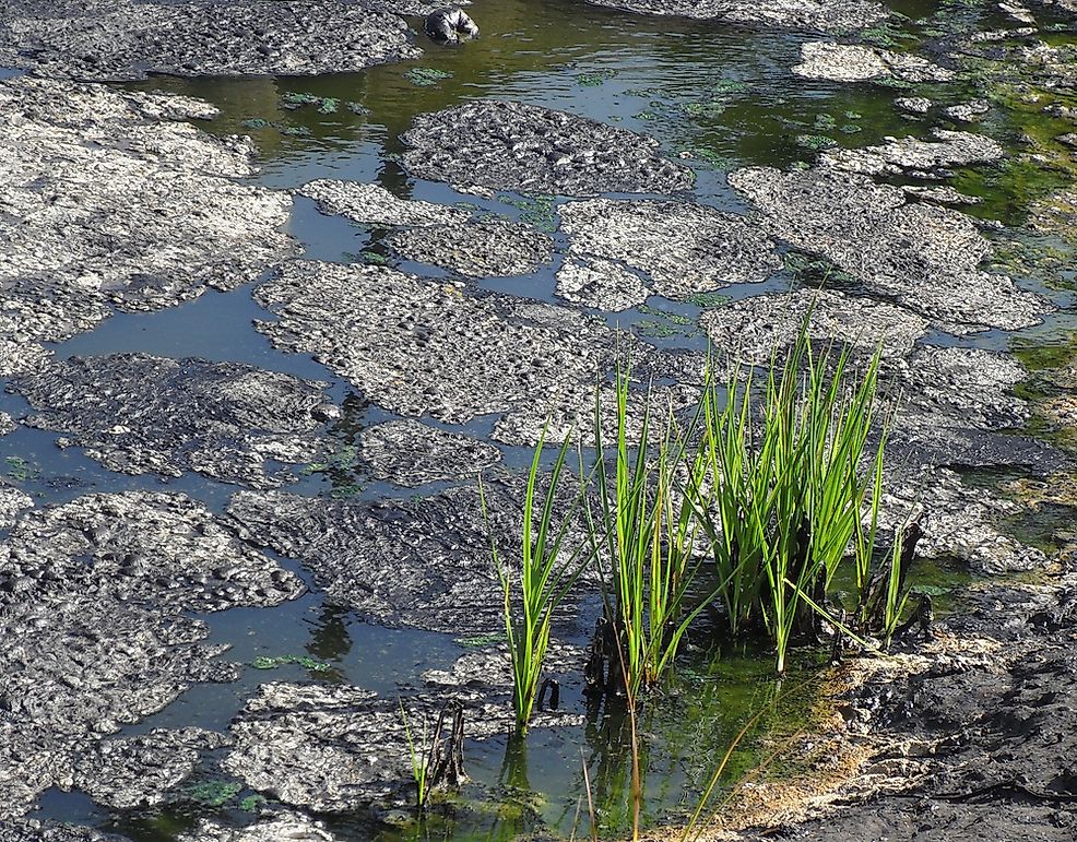 The Five Natural Asphalt Lake Areas In The World