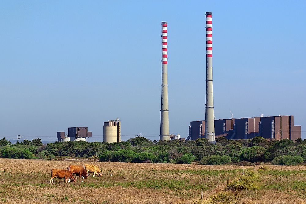 10 Foods That Are Bad For the Environment