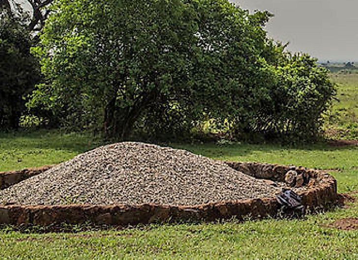 Ivory Burning: Does It Deter Elephant Poaching In Kenya?