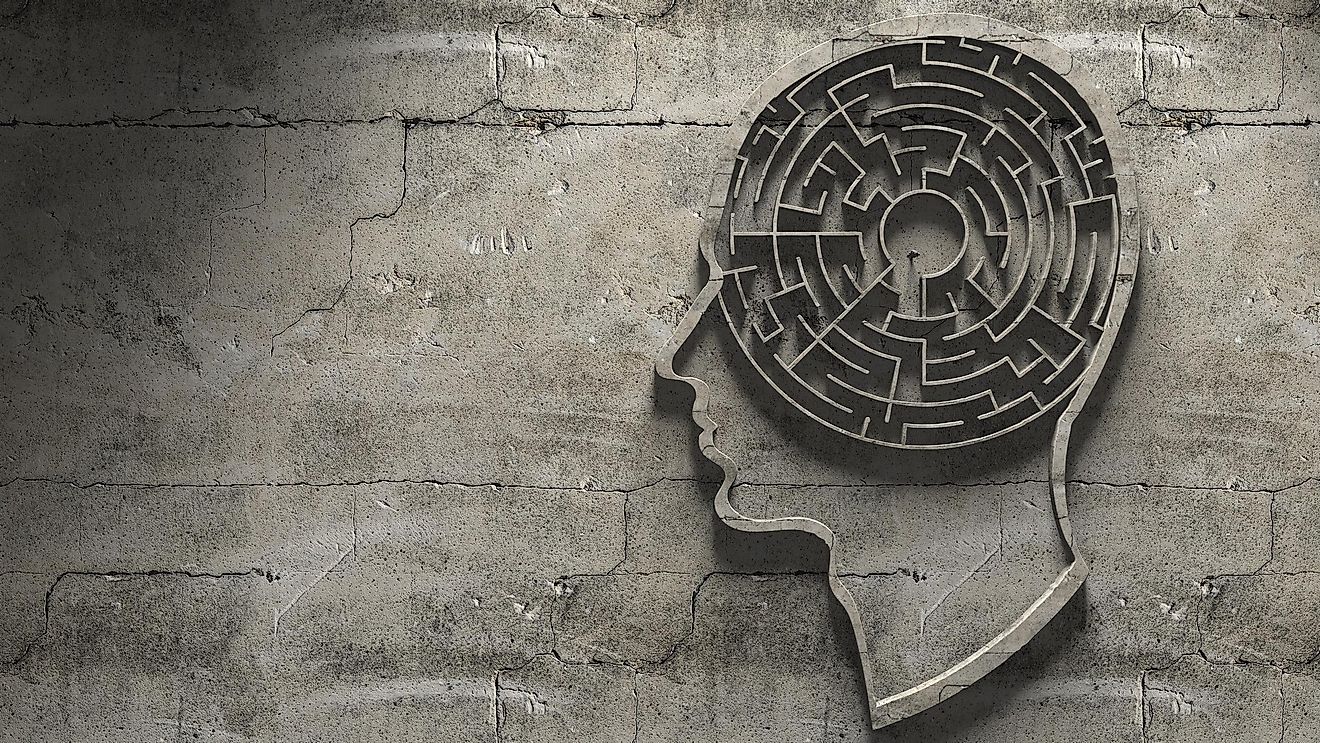 What Is The Difference Between A Psychopath And Sociopath?