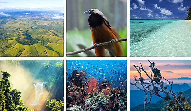 Interesting Facts About Papua New Guinea