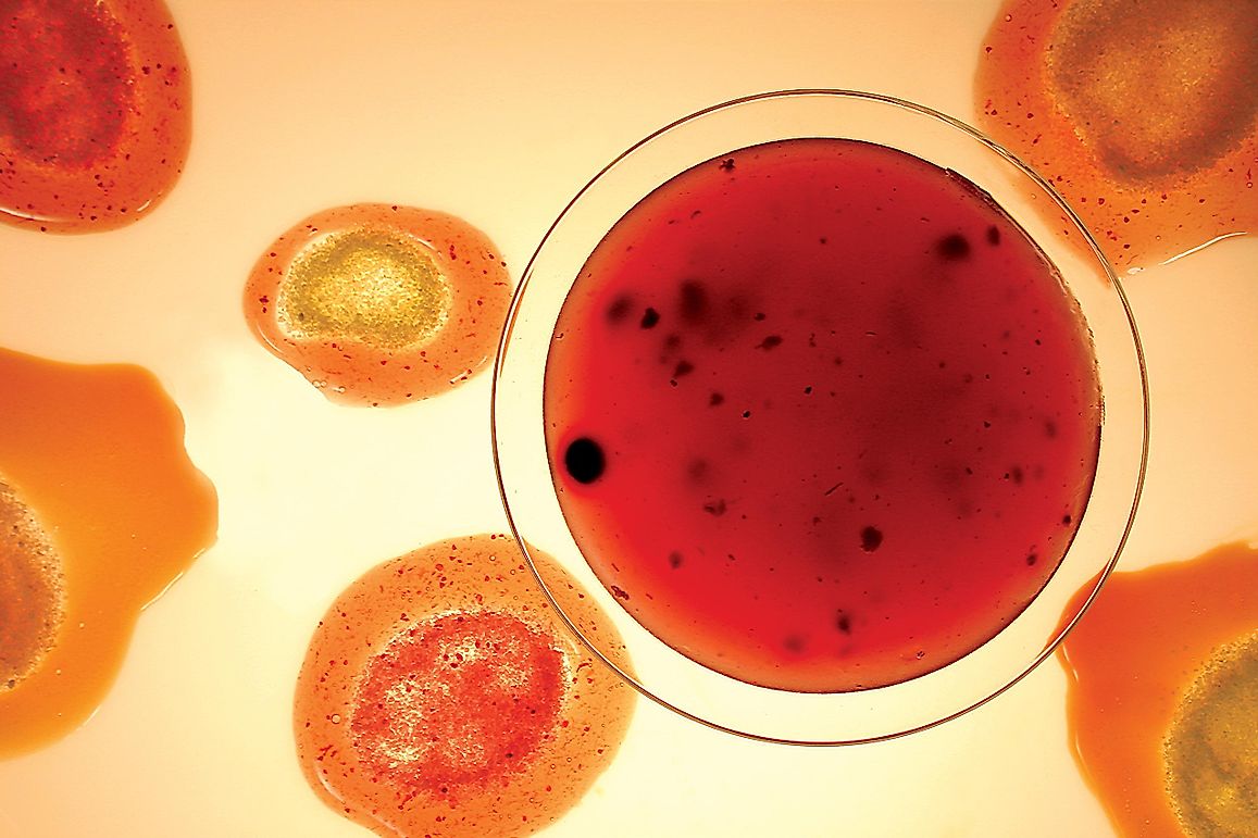 What Is The “Primordial Soup” Theory?