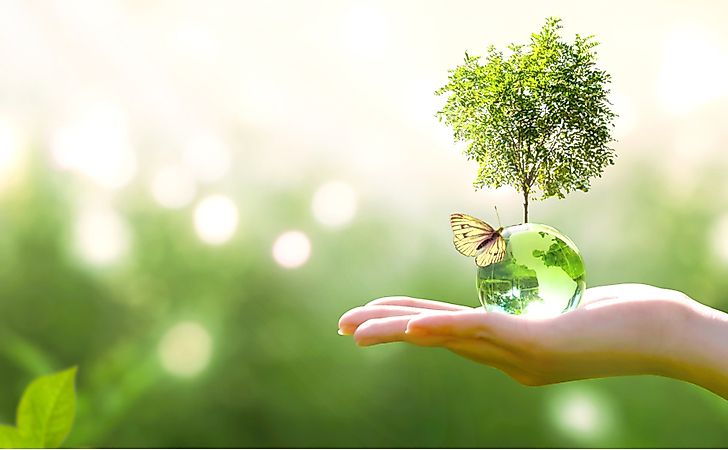 What Are The Differences Between Ecosystem And Environment?