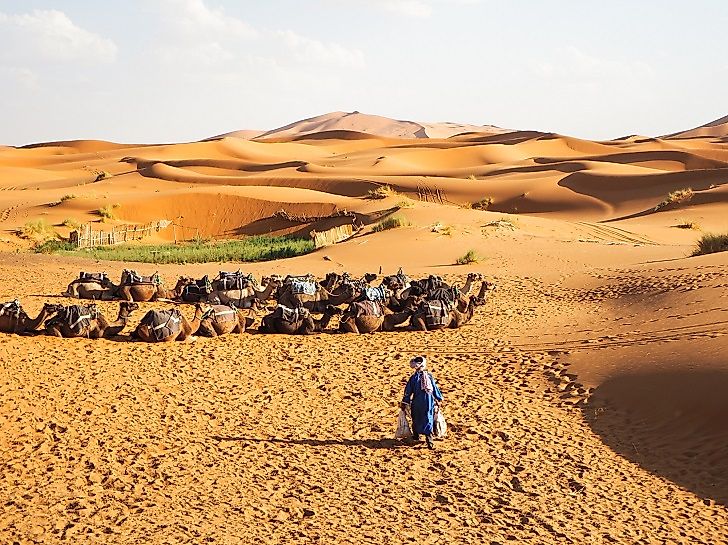 Who Are The Tuareg People Of The Sahara?