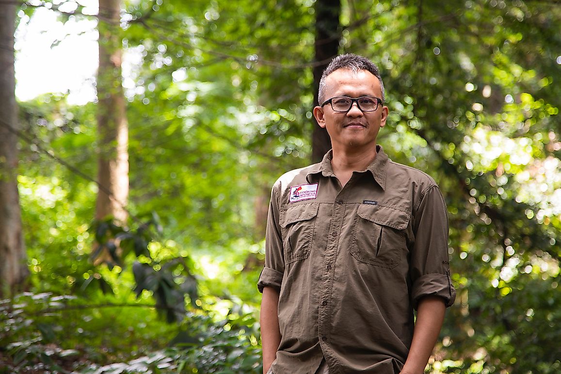 The Story Of An Indonesian Conservationist And His Battle To Save A Vanishing Hornbill