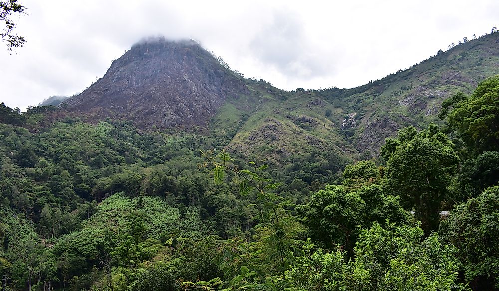 Where Are The Eastern Ghats?
