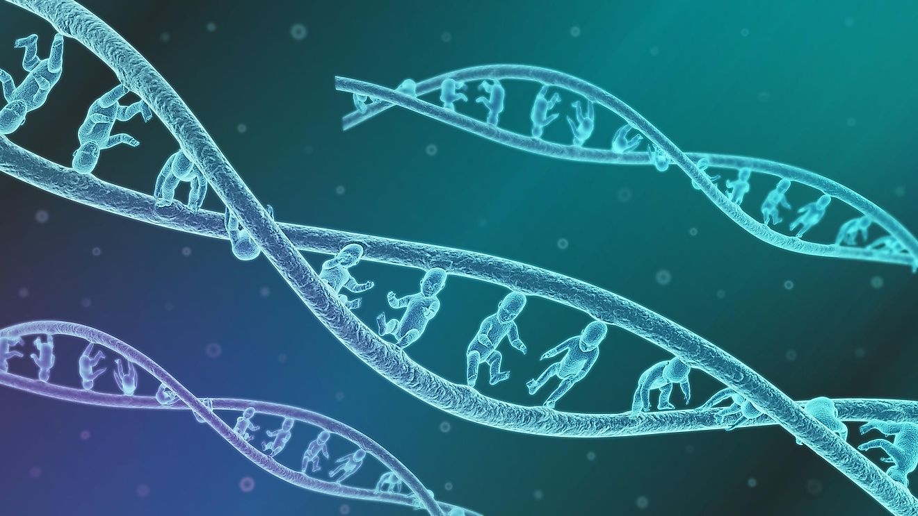 Genetically Altered Babies - Who Is He Jainkui?