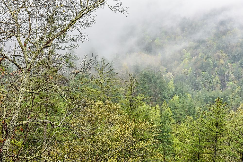 What Are The Major Natural Resources Of Georgia?