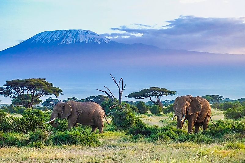 Highest Mountains In Tanzania