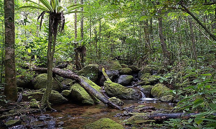 Ecological Regions Of Madagascar