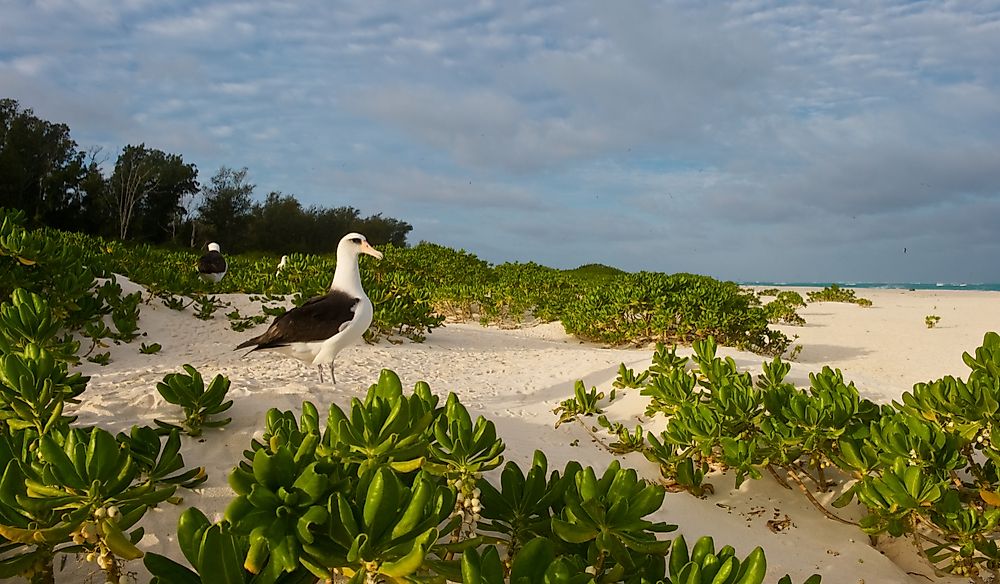 Where Is Midway Atoll?