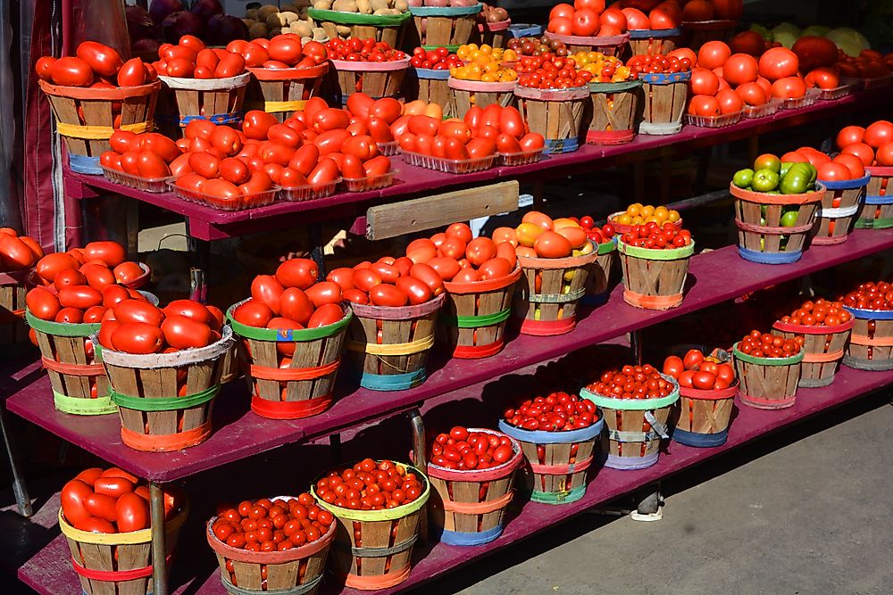 Fruits Native to North America