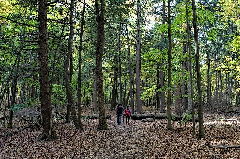 Largest City Parks in Canada