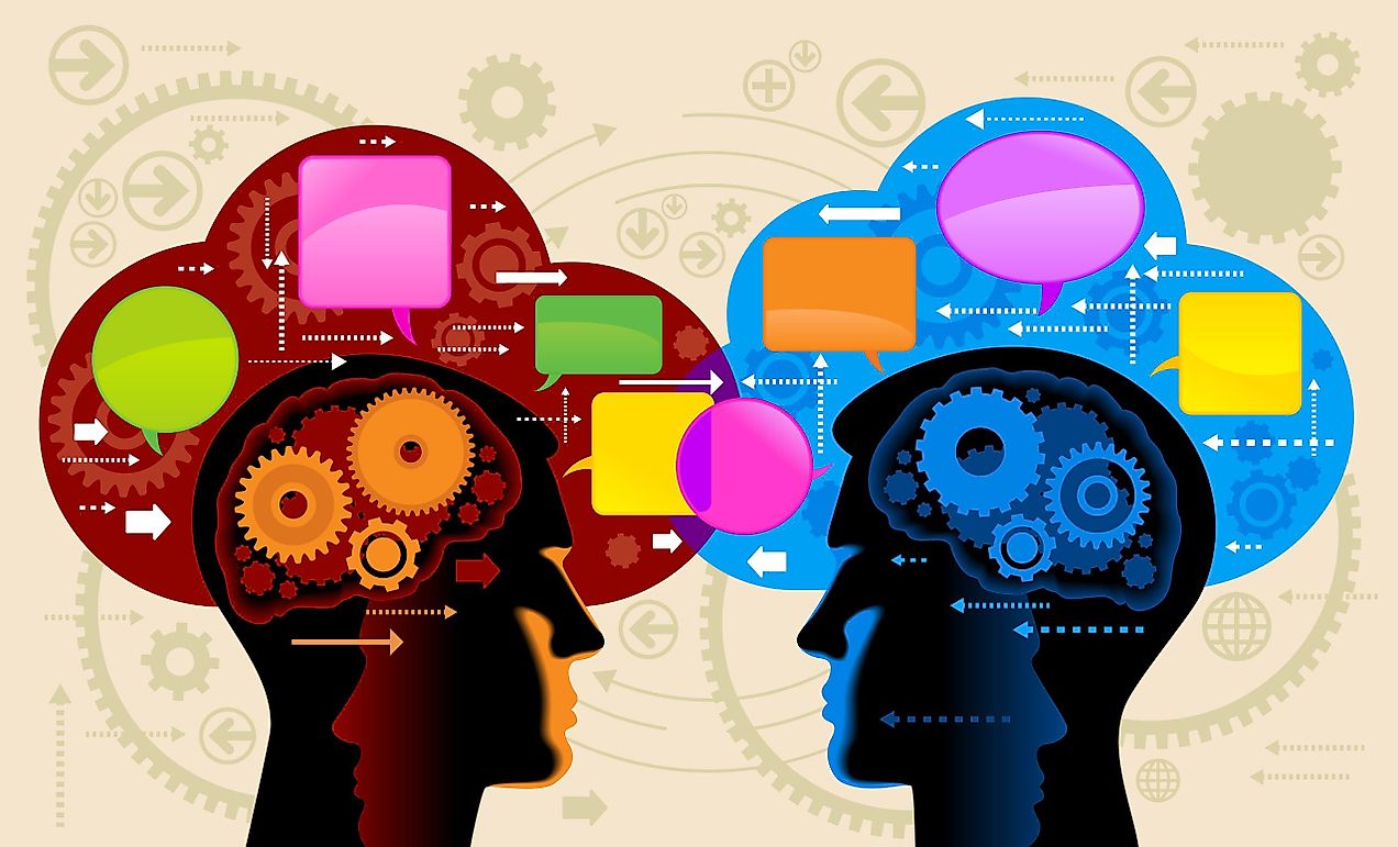 What are the Social Sciences?