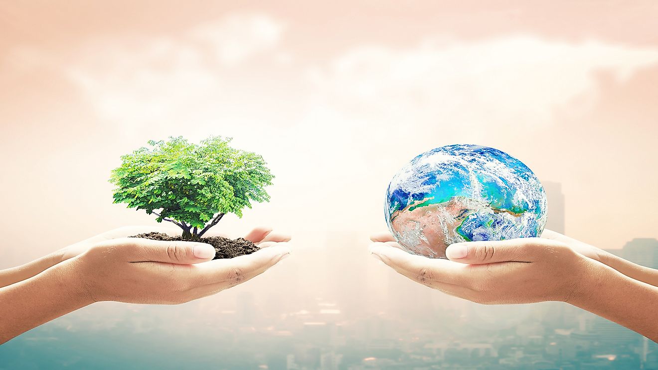 Natural Capital: Often Ignored But Of Vital Importance