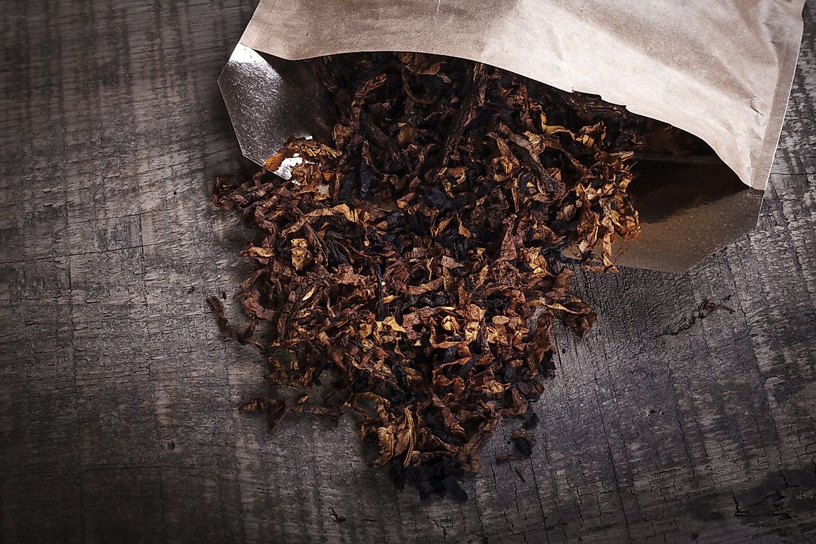 Tobacco Production By State