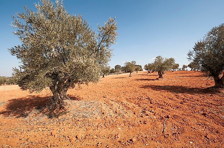 What Is Dryland Agriculture?