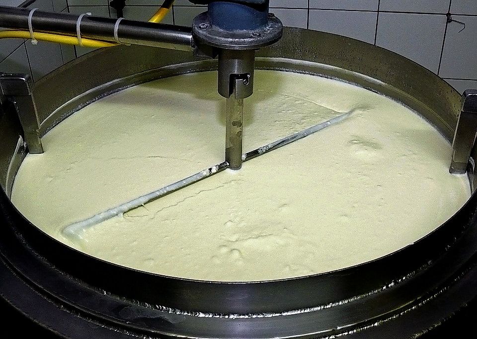 Top 12 Exporters Of Yogurt And Cultured Milk