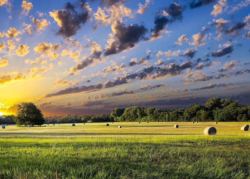 10 US States With The Highest Number Of Farms