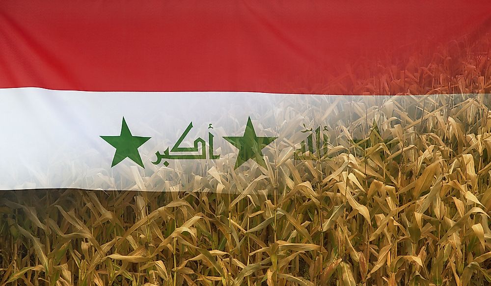 What Happened During The 1971 Iraq Poison Grain Disaster