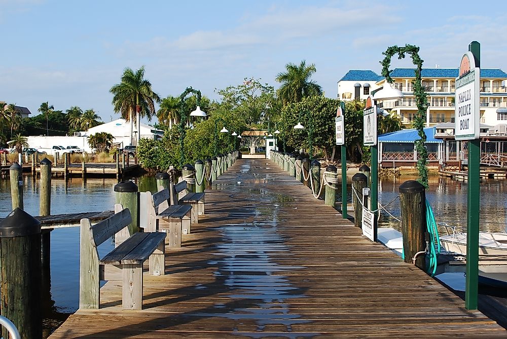 Tourists Flock to Florida Despite Tropical Storm