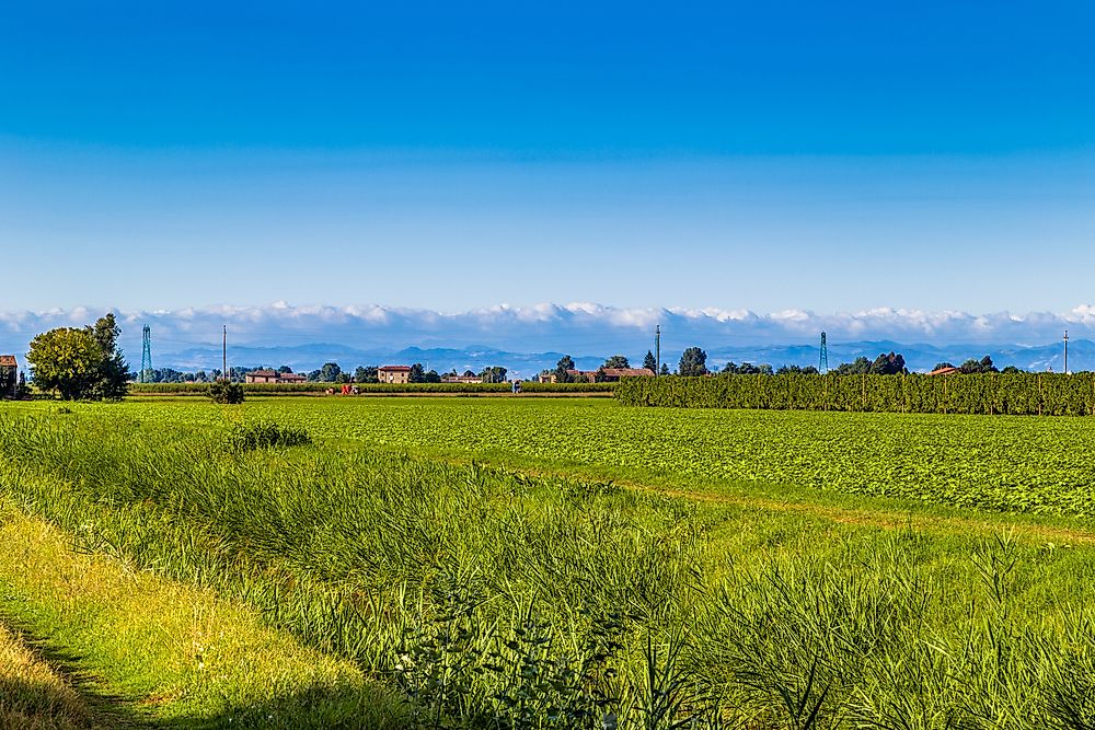 What is an Alluvial Plain?