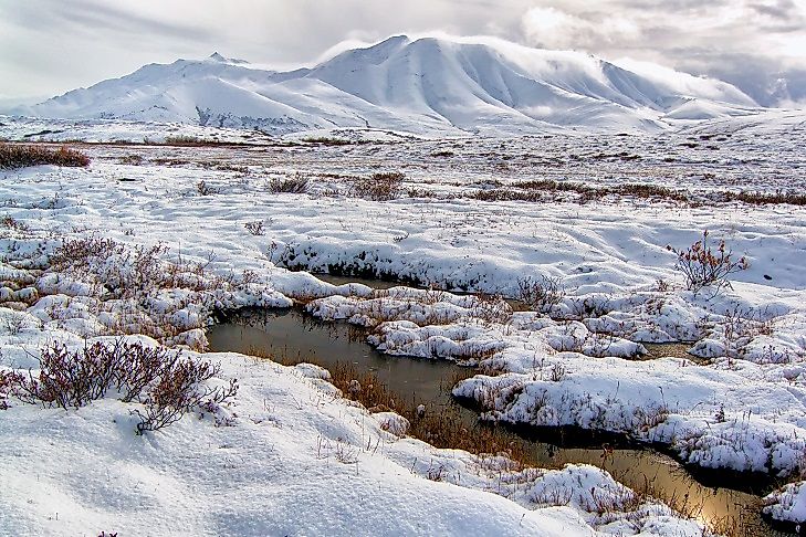 What And Where Is The Tundra?