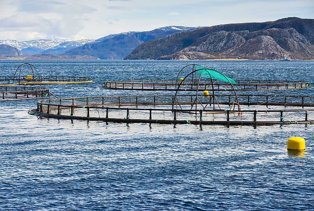 What Are The Biggest Industries In Norway?