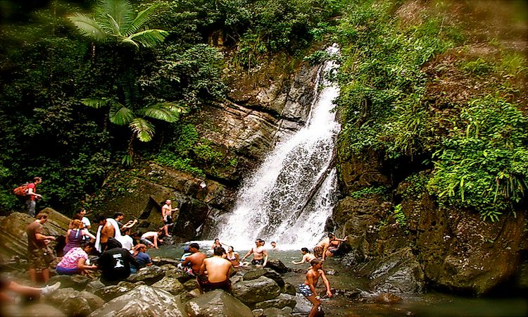 El Yunque Rainforest, Puerto Rico