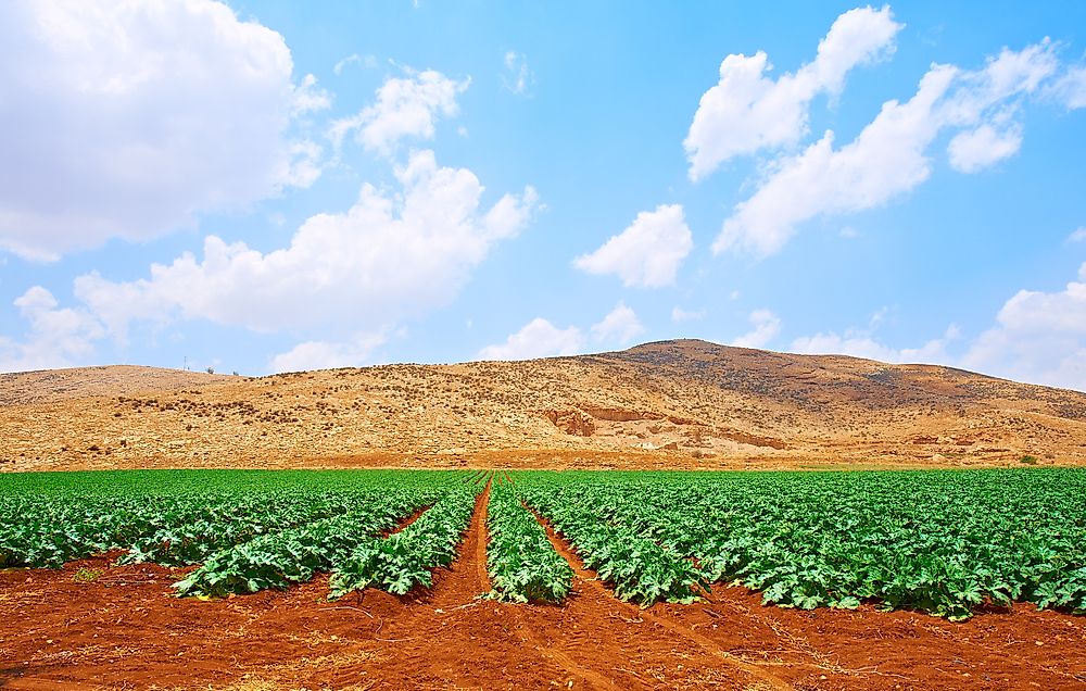 What is Land Grabbing?