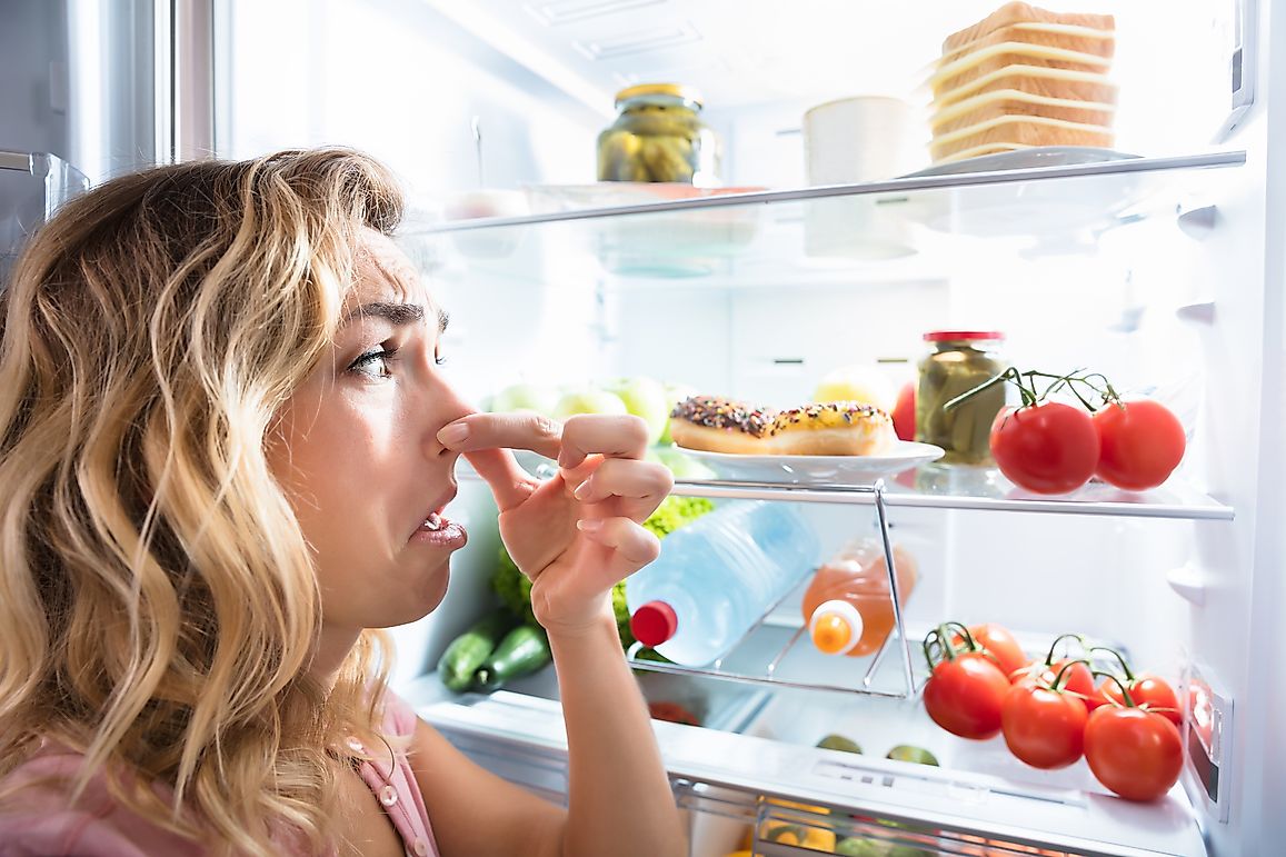 More Grocery Stores Can Reduce Carbon Emissions- Study Explains How
