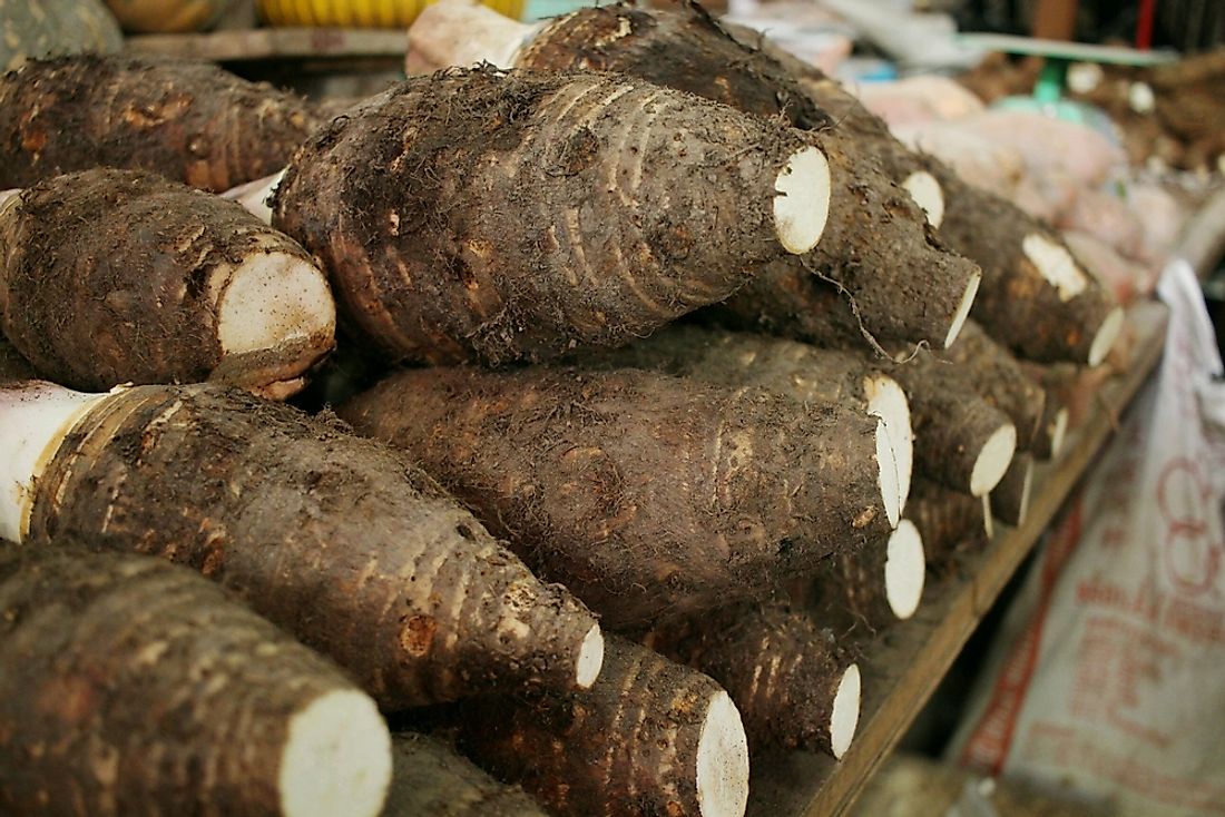 Top Taro Producing Countries In The World