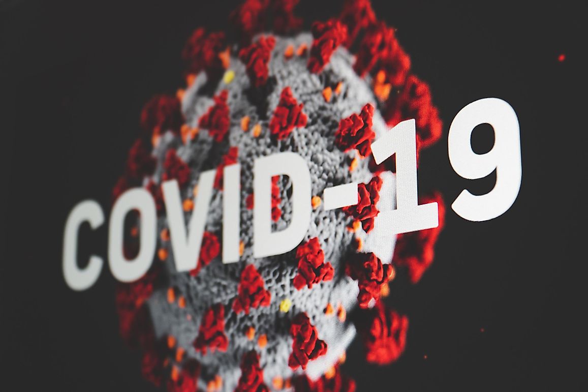 Is Google Making A Covid-19 Website?