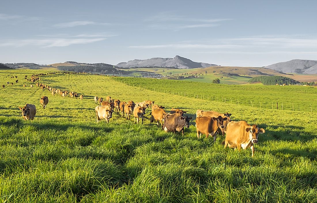 Countries Where Men Are Most Likely To Work On Farms