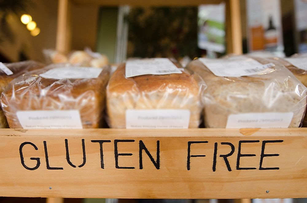 What is Gluten?