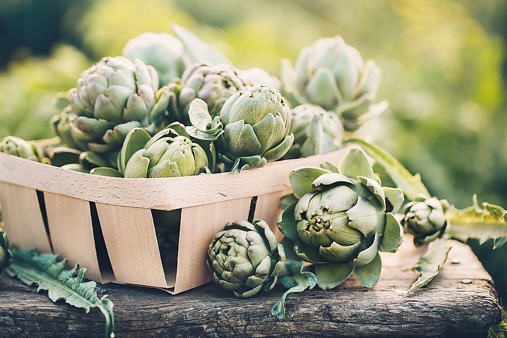 The Top 10 Producers Of Artichokes In The World