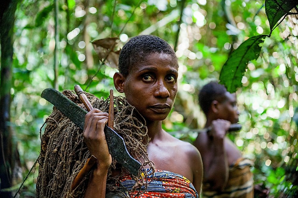 What Is The Ethnic Composition Of The Central African Republic?