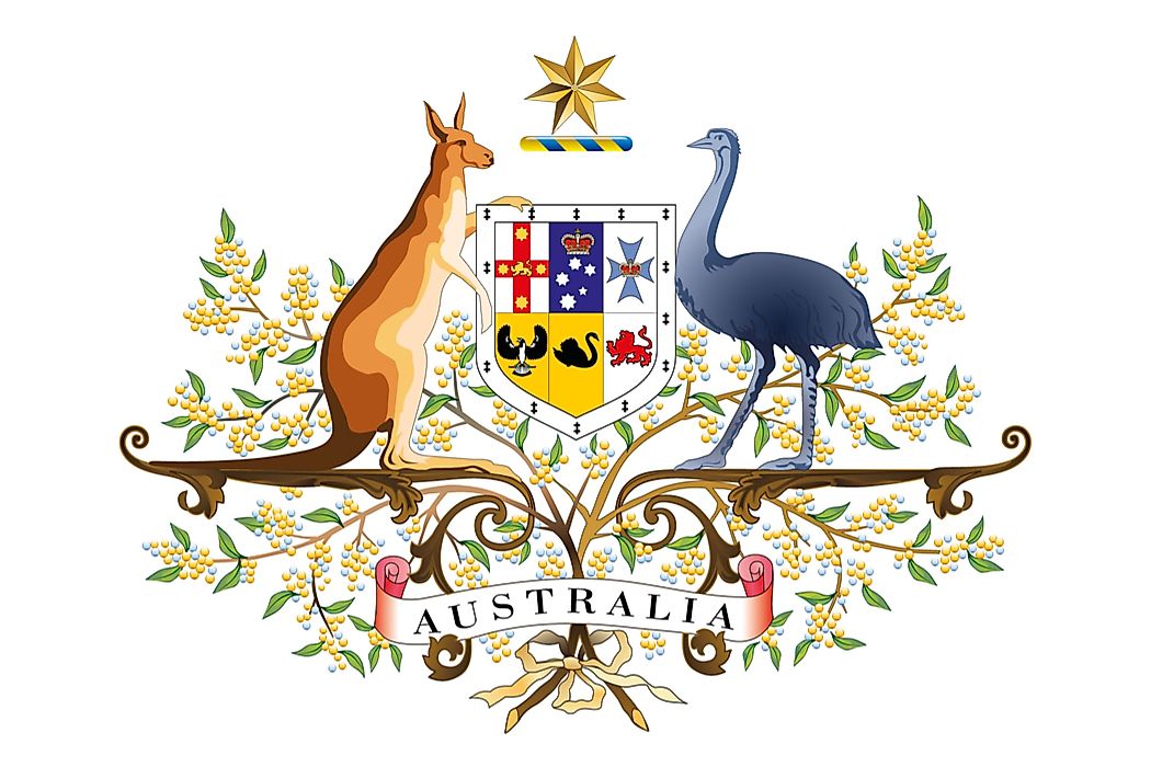 The National Animals of Australia