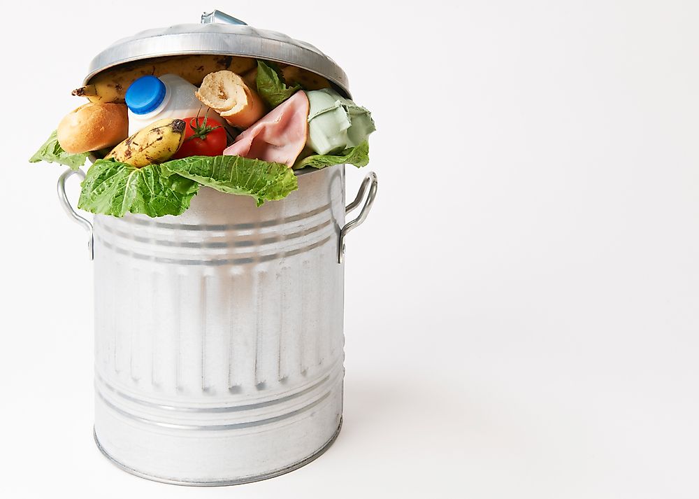 What is Food Loss?