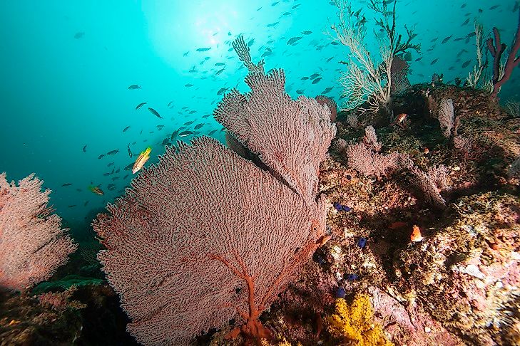 Coiba Island - Uniqe Places Of Panama