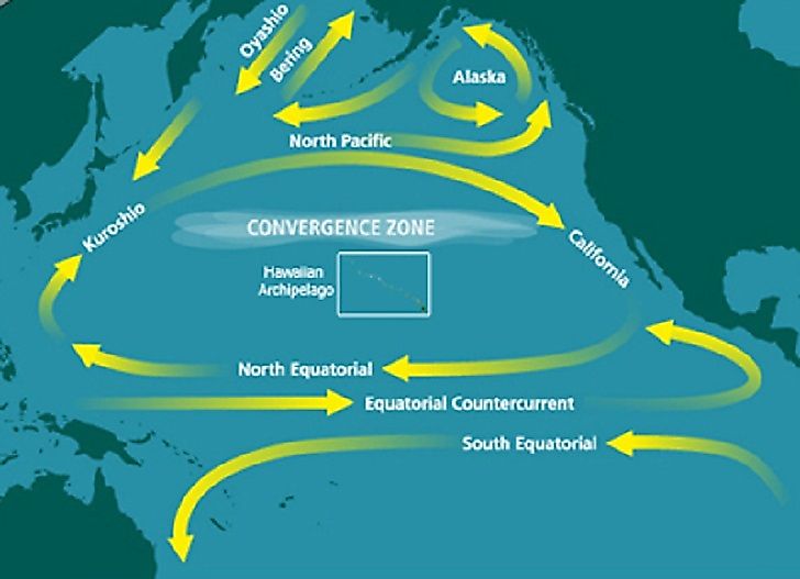 The Great Pacific Garbage Vortex