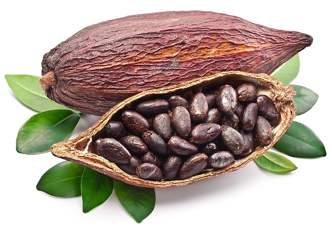 Top 10 Cocoa Producing Countries - WorldAtlas.com