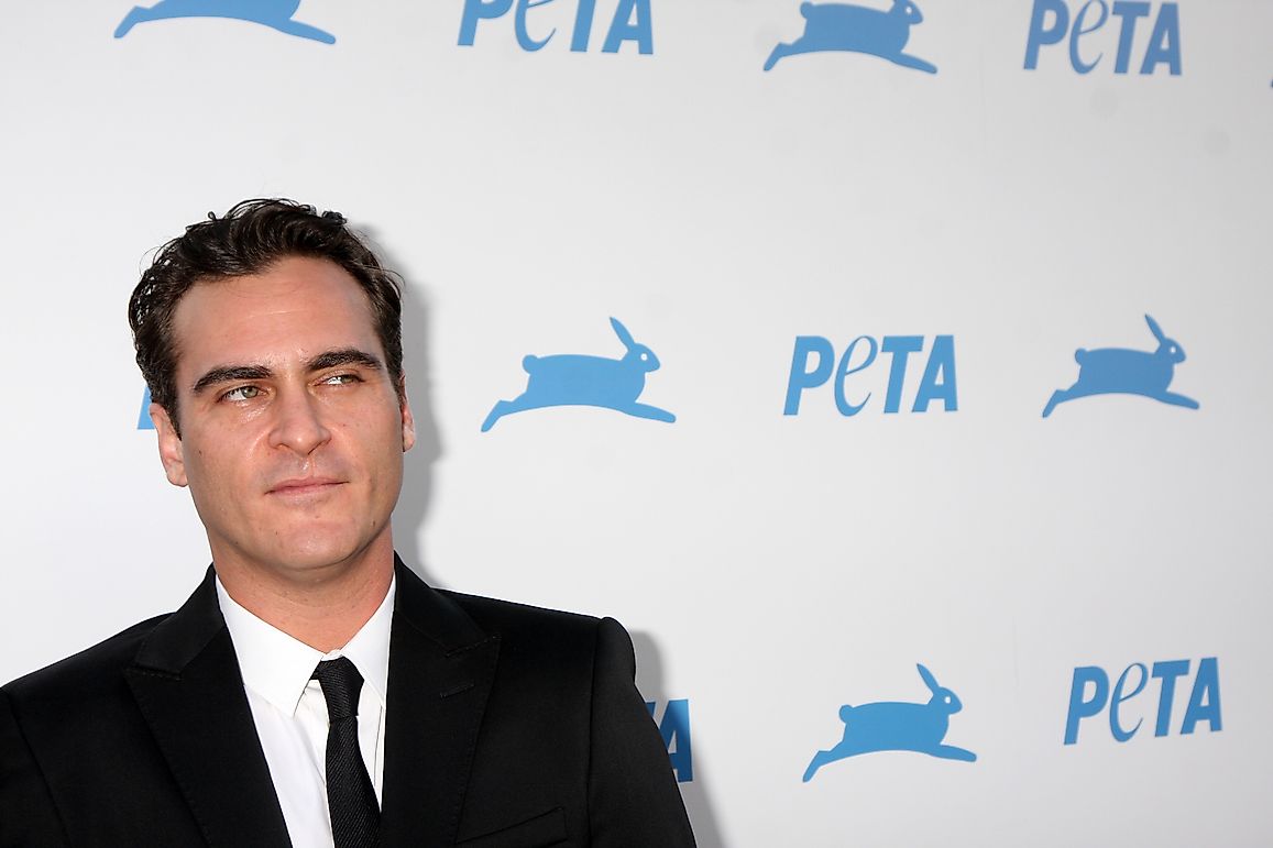 Animal Right Activisits Who Also Happen To Be Celebrities