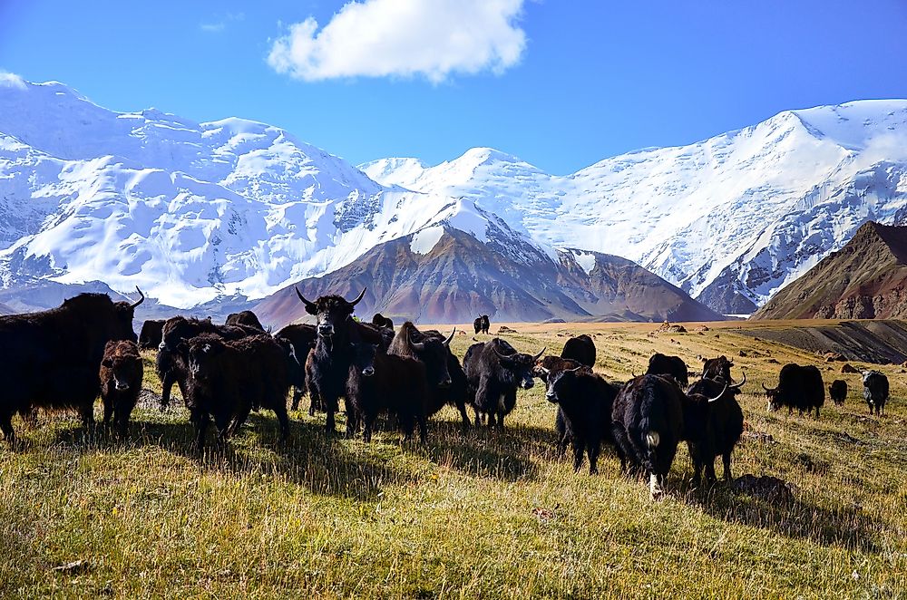 Tallest Mountains In Tajikistan