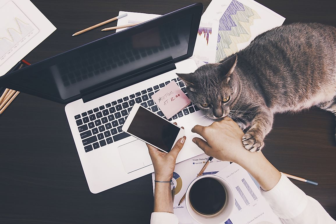 10 Jobs You Can Do From The Comfort Of Your Home